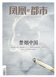 凤凰都市